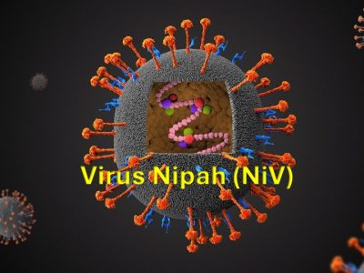 10 vurus niphal inicial- jpg