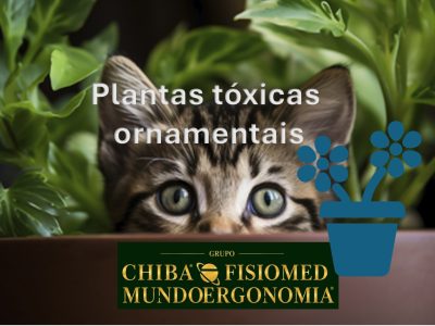 plantas toxicas